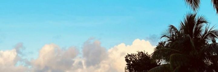 lulubacter's profile banner image