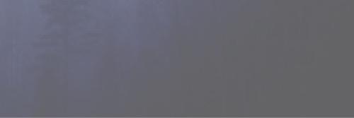 dianaorgdr's profile banner image