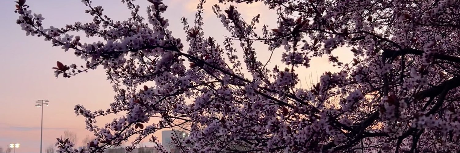 hidoris_'s profile banner image