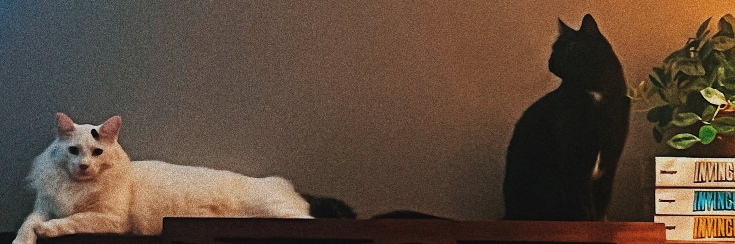 annackwebb's profile banner image