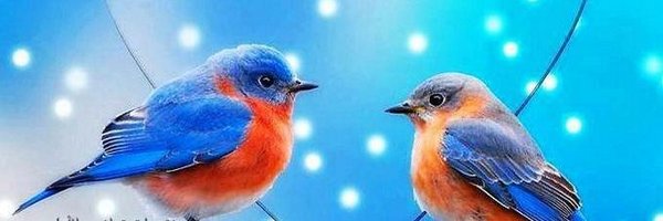 QM0325's profile banner image