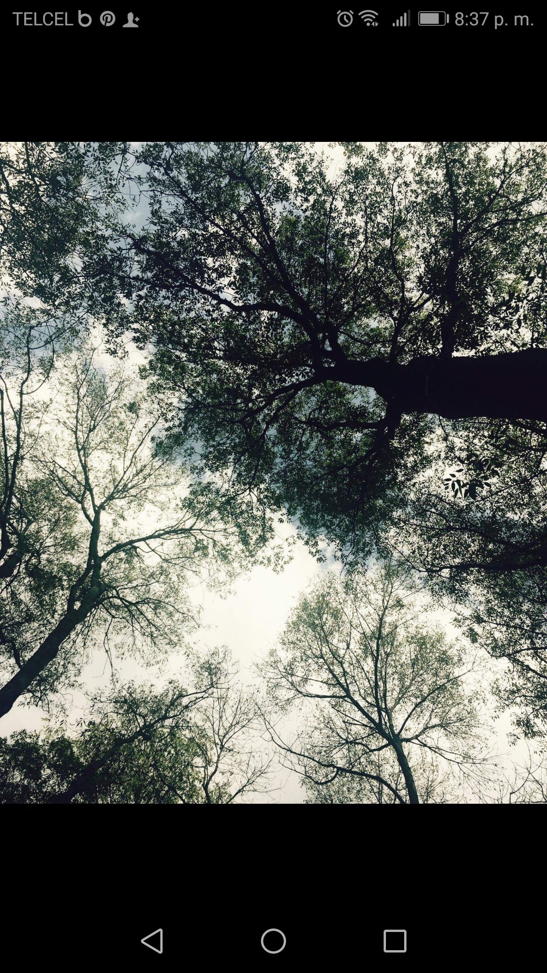 Josperhs's profile banner image