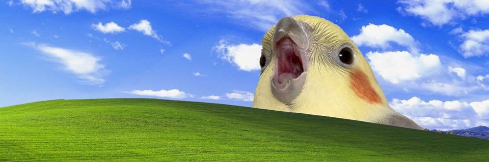 viv_yells's profile banner image