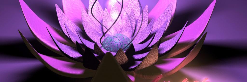 Brigitte_Sillam's profile banner image