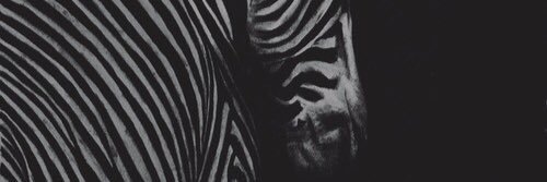 Daily_Parker's profile banner image