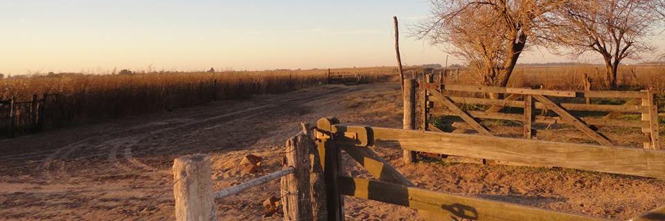 L_DiCroce's profile banner image