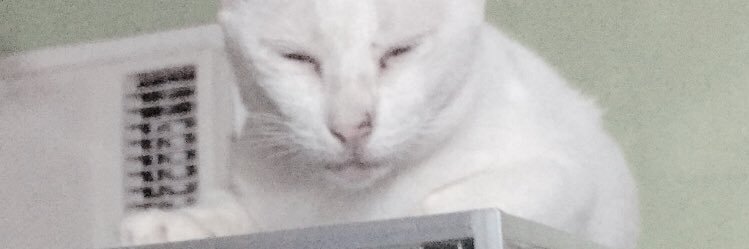tomdoesthings's profile banner image