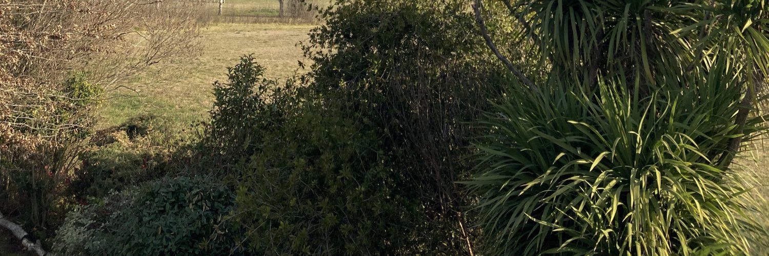 VMigliorini's profile banner image