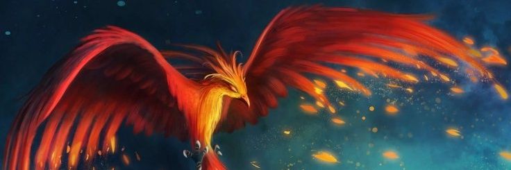 terraminator_x's profile banner image