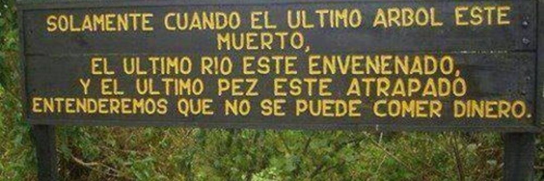 🌳Claudísima🌳🇨🇱 banner