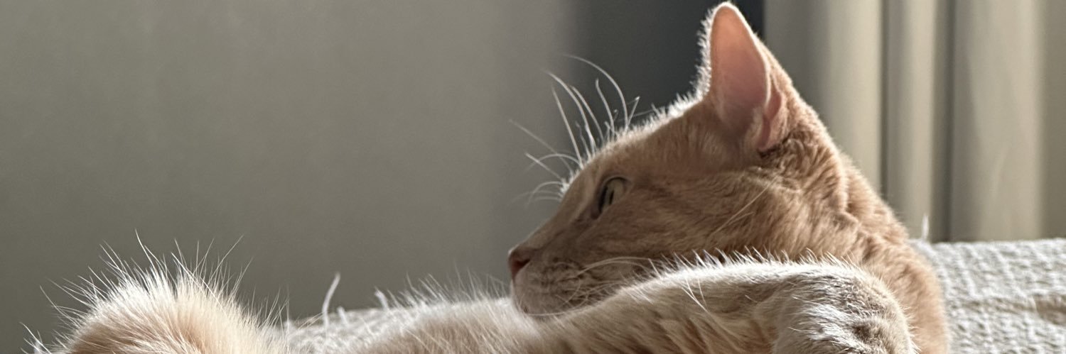 Saylor Tweet banner