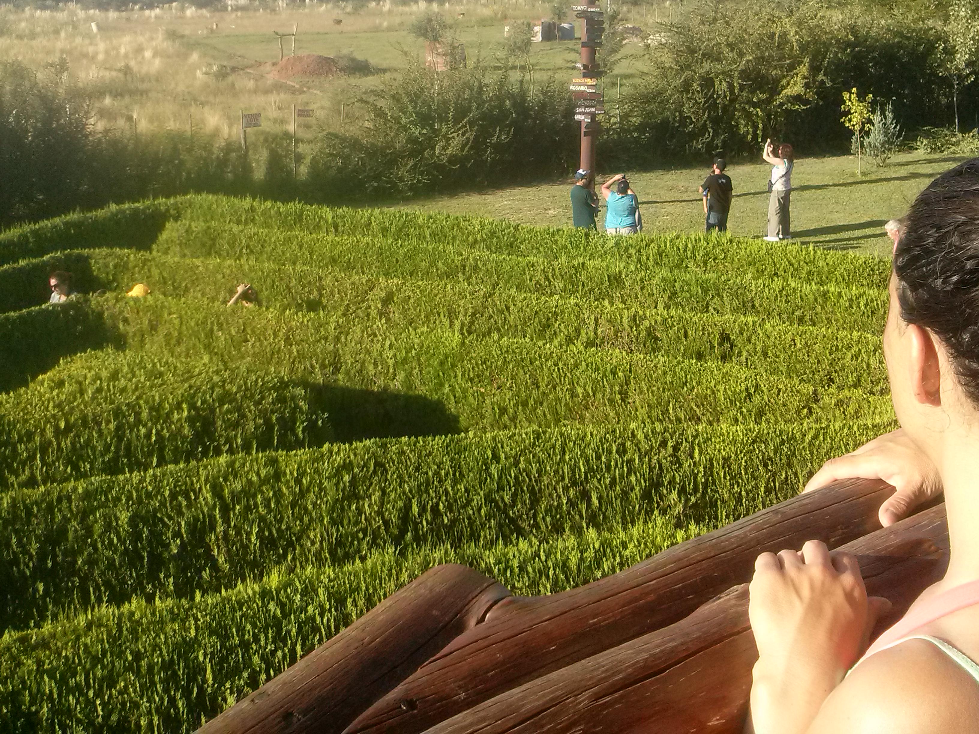 valerialannutti's profile banner image
