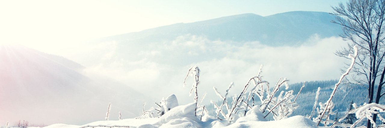 EHW_Quentin's profile banner image