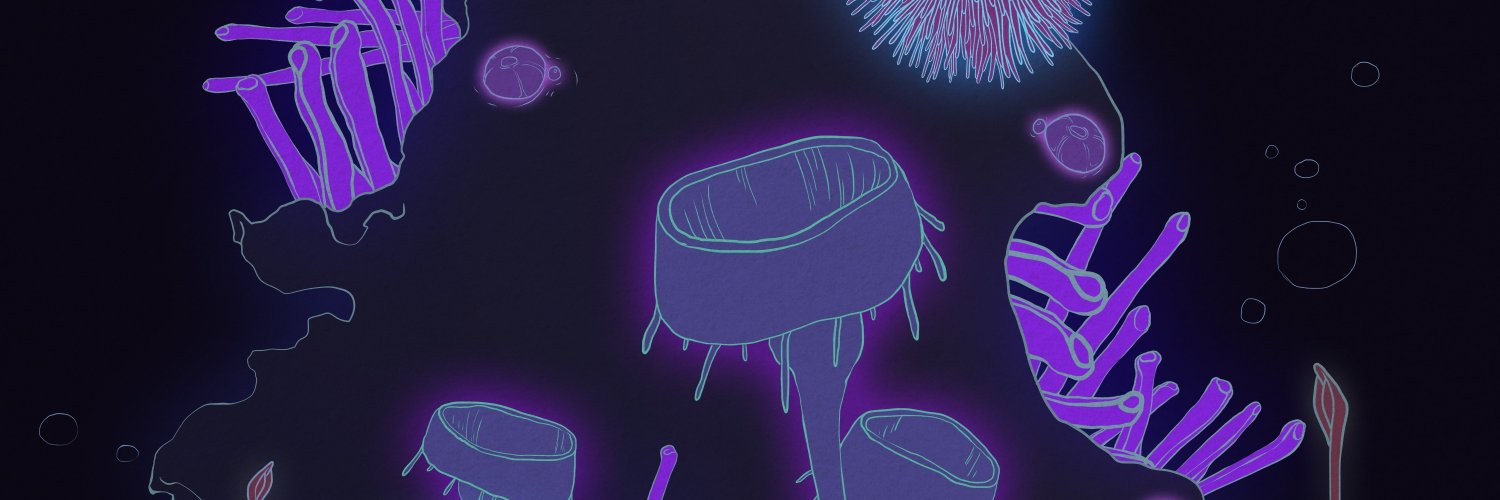 RanMusicBJ's profile banner image