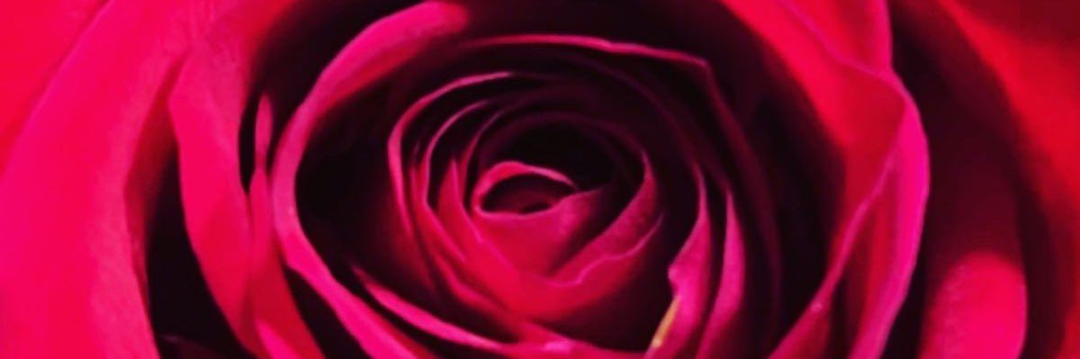 JRoseWB's profile banner image