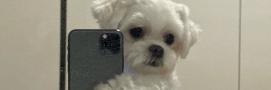 I Hate it Here banner