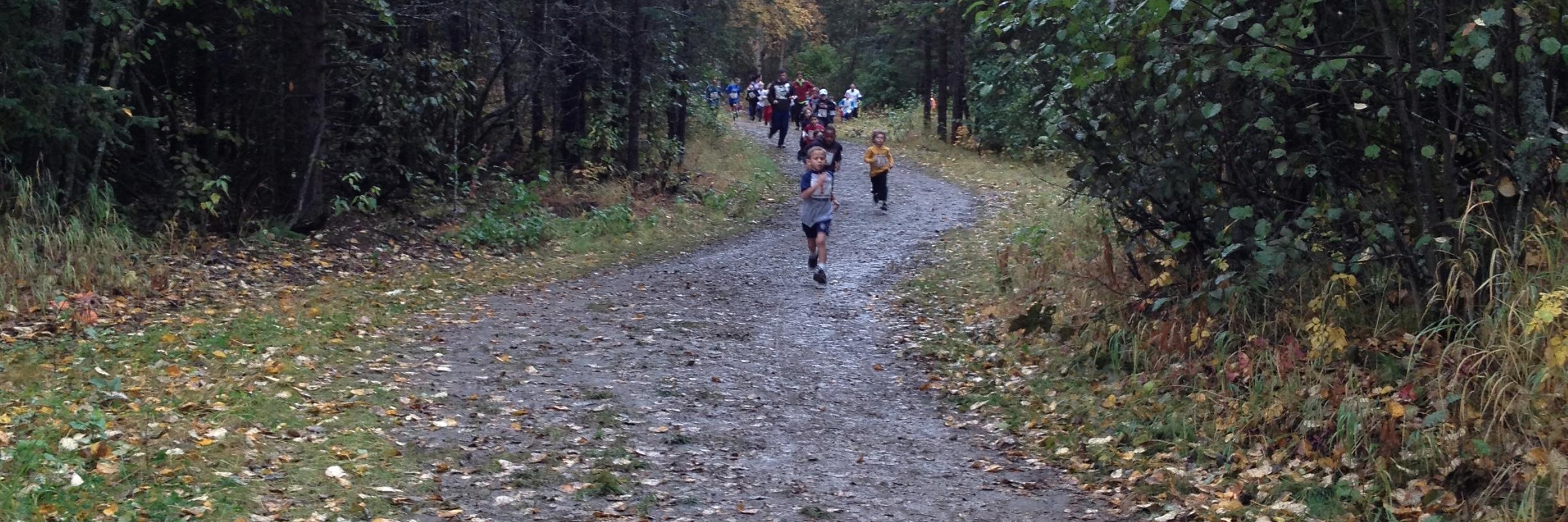 Melanie Sutton banner