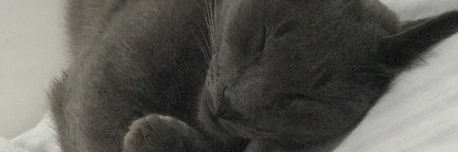 paolaalvim's profile banner image