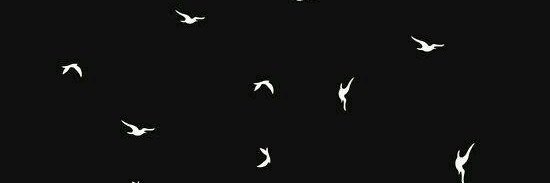 vanilla_pocket's profile banner image