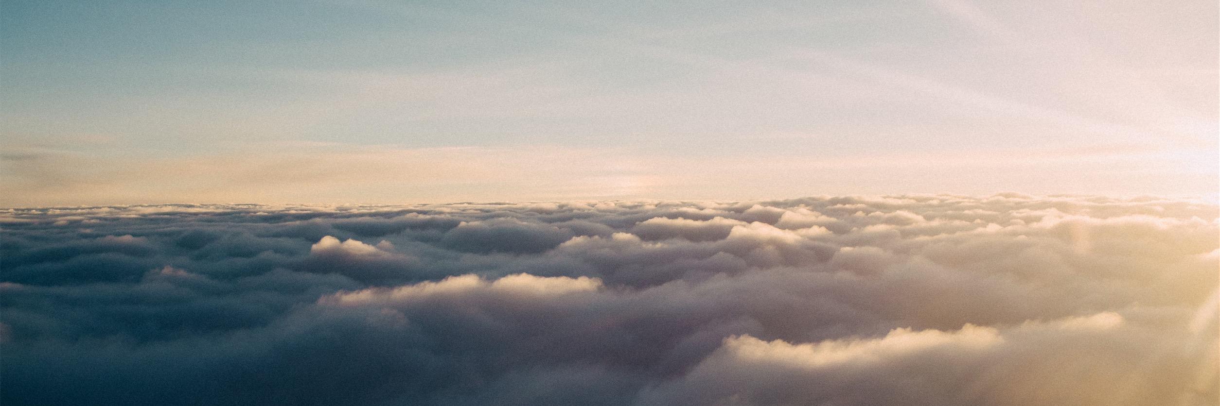 Meerkats Playing Now banner