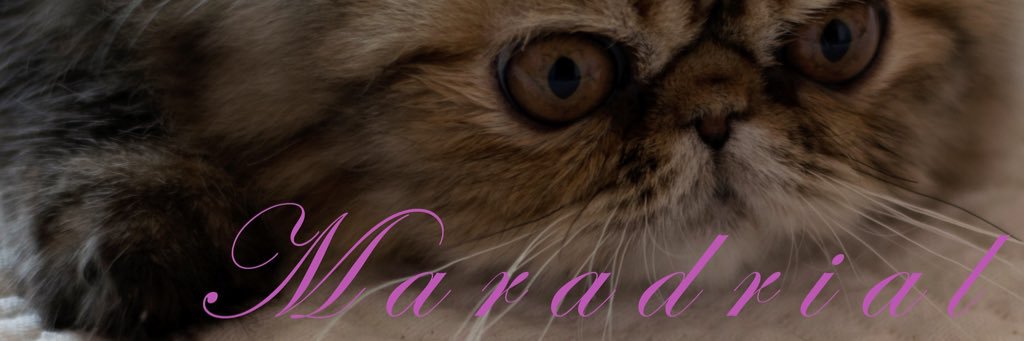maradrial's profile banner image
