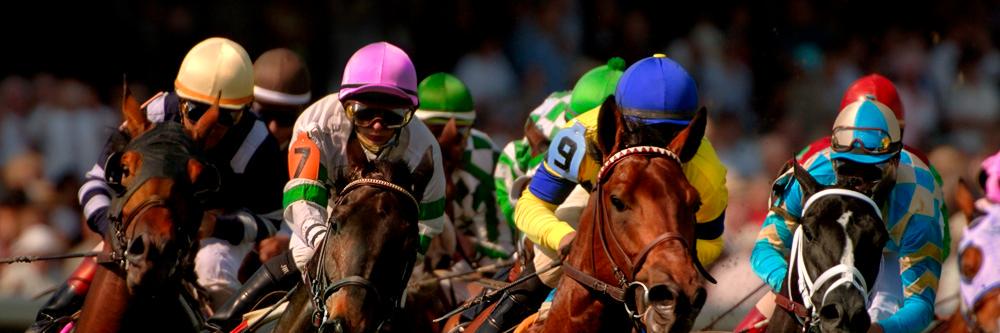 BurqueDerby's profile banner image