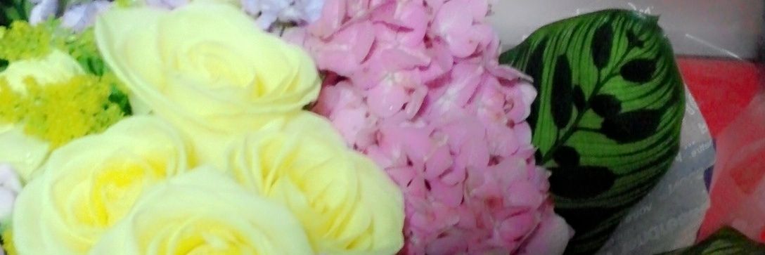 candy8302's profile banner image