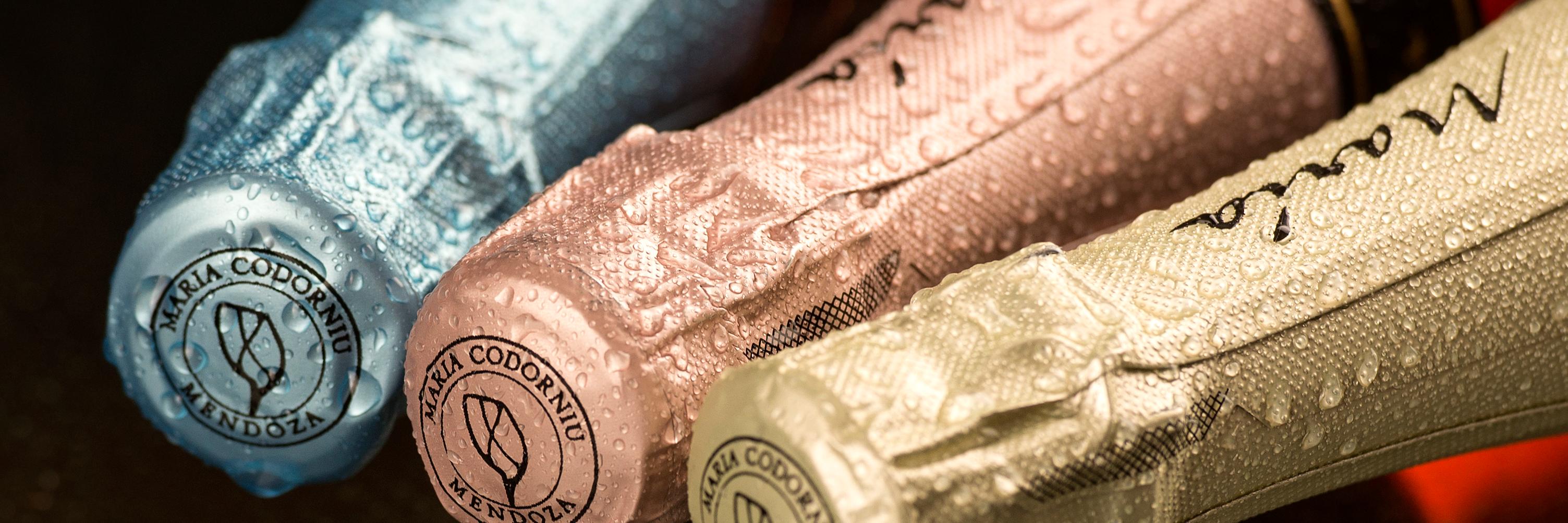 María Codorníu banner