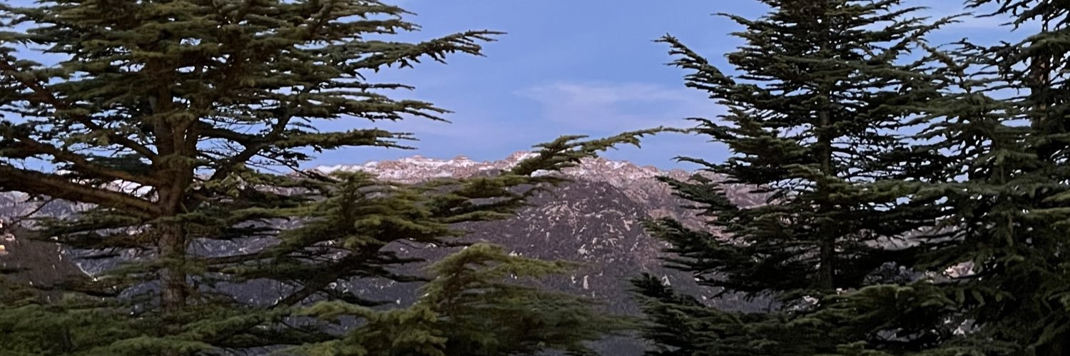 phenix_lib's profile banner image