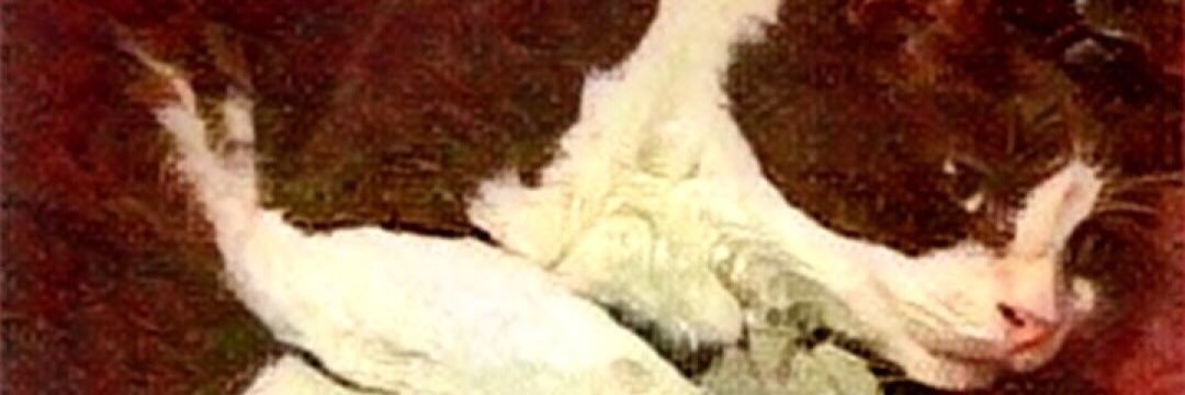 kneipping's profile banner image