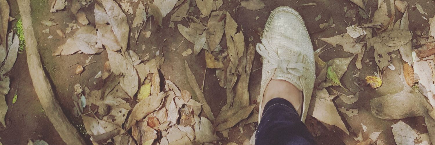 CoQui_LM's profile banner image