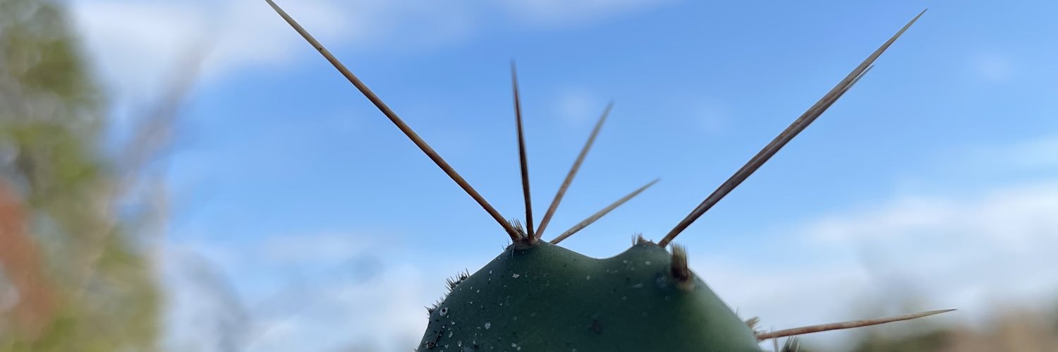 leiramglz's profile banner image