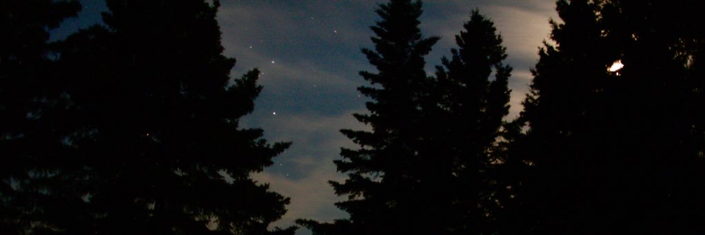 FleckMacrae's profile banner image