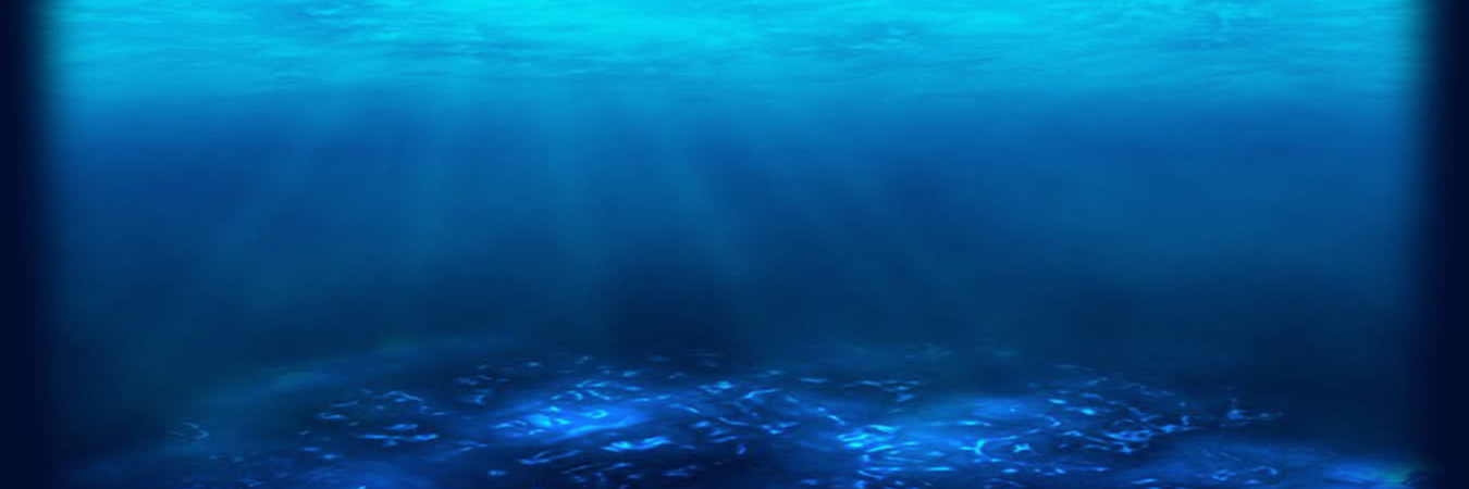 ShimmeryMermade's profile banner image