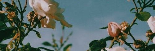 History_29's profile banner image