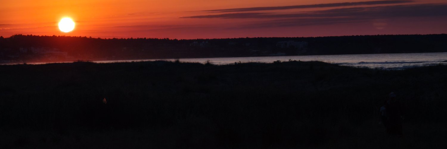 mpolat481's profile banner image
