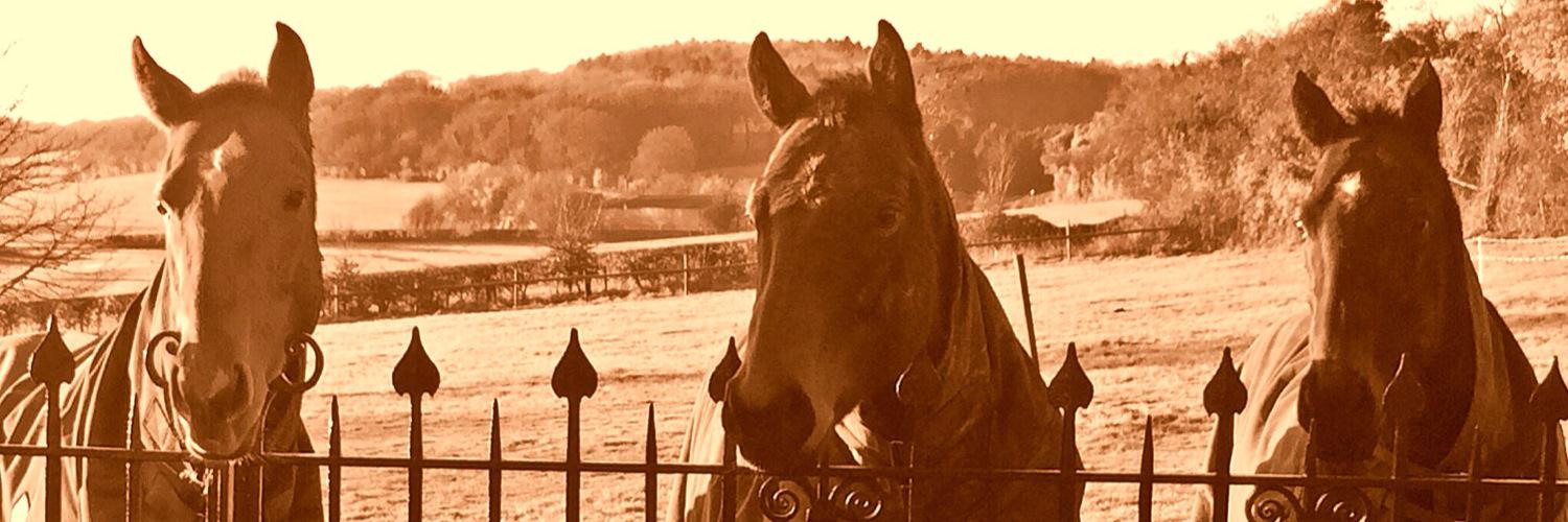 Victoria Griffiths banner