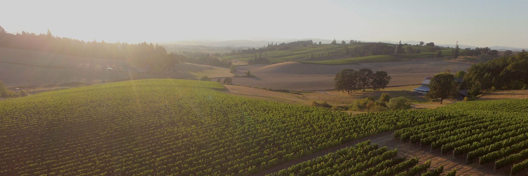 WineryHunt's profile banner image