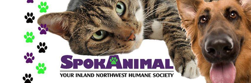 SpokAnimal banner