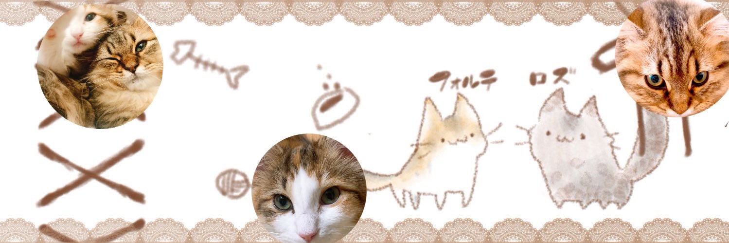 corni_CcS's profile banner image