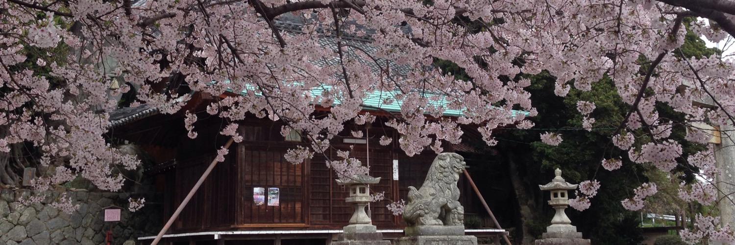 zimi_0310's profile banner image