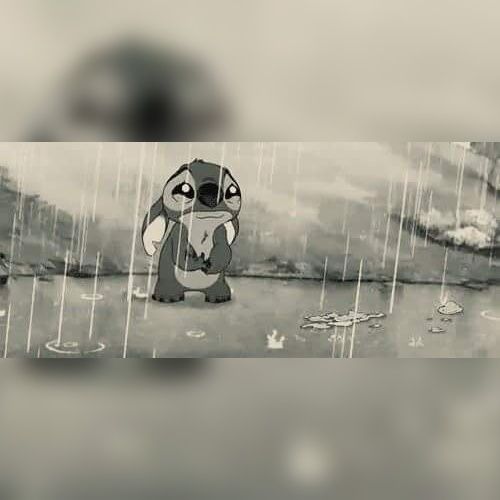CMaiara4's profile banner image