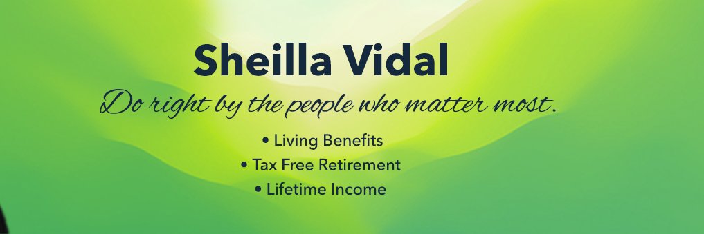 svidalfeg's profile banner image