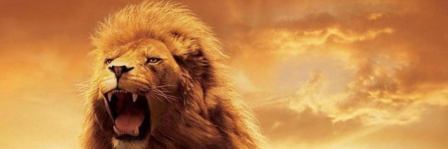 Houstonfreak5's profile banner image