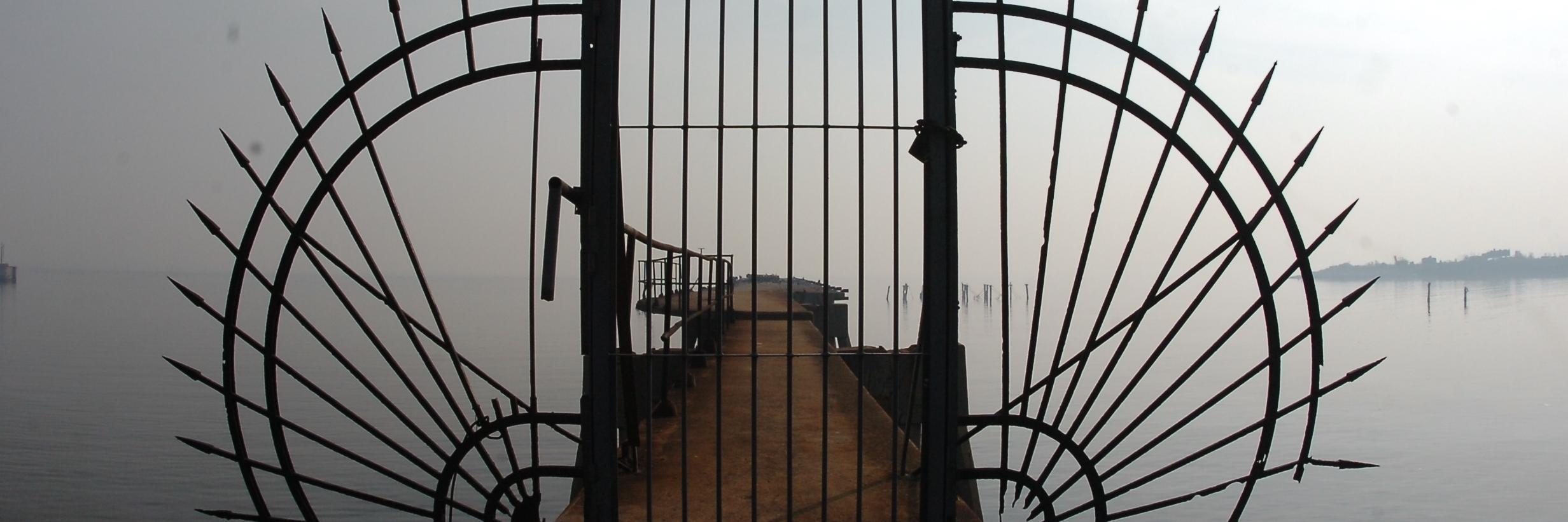 Darwin Borrelli banner