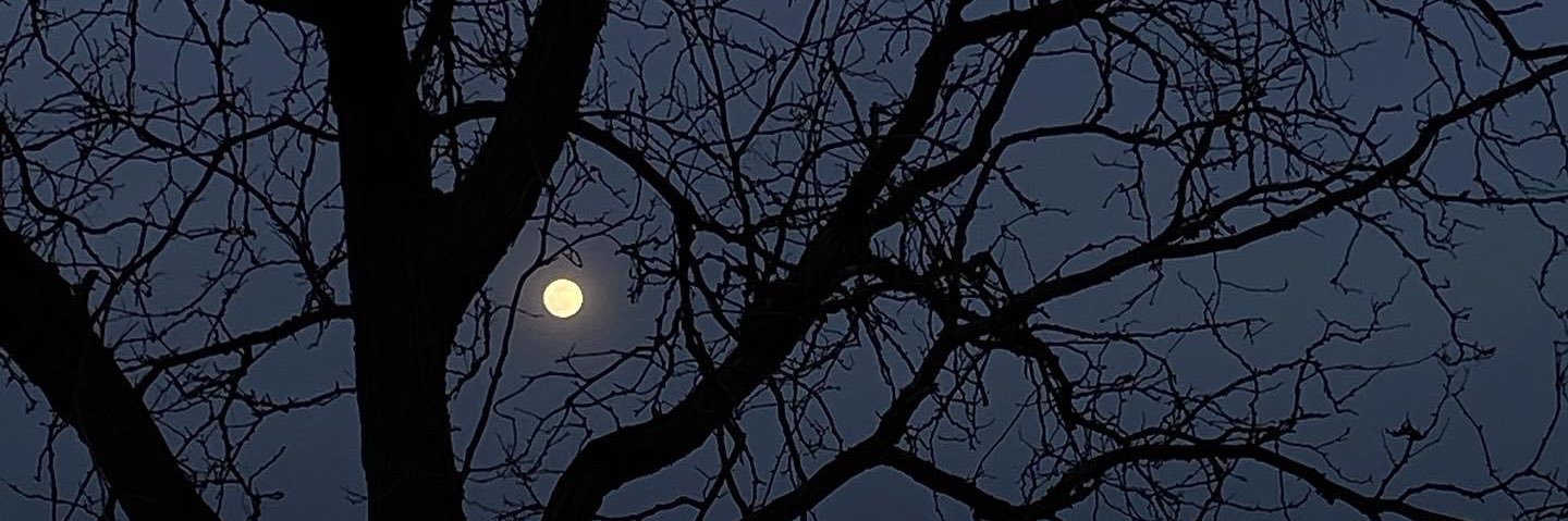 httpzeriah's profile banner image