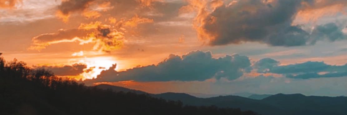 caroline wenzl banner