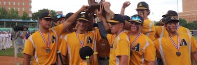 Archbold Baseball banner