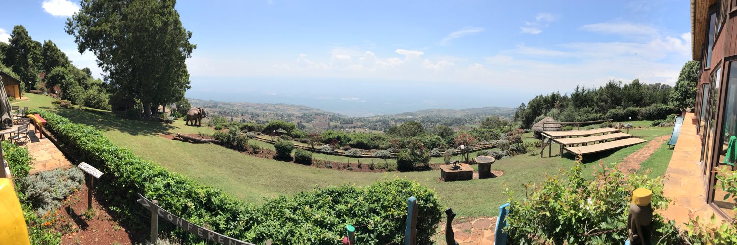 Simon Denissel banner