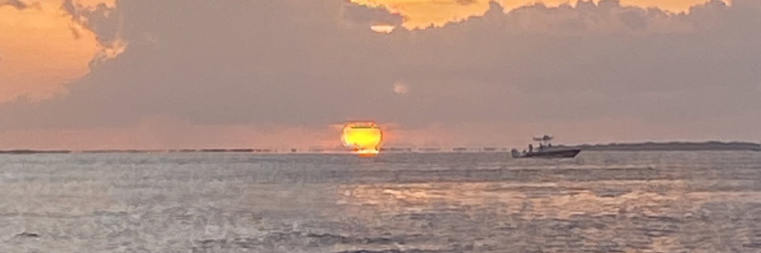 Michelle Edwards  banner